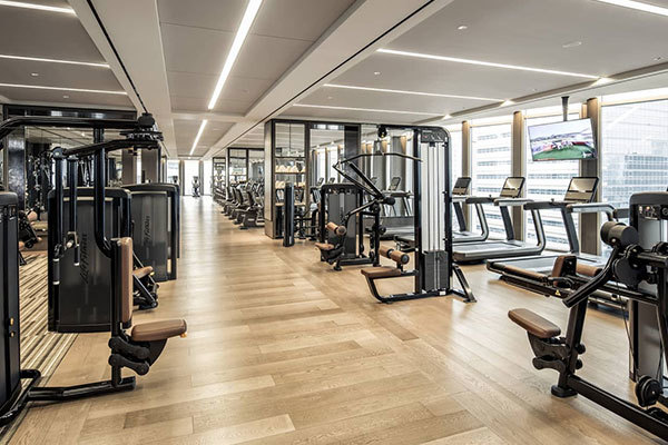 Bilim fitnessa rehberlik eder ve sağlıklı bir yaşamın tadını çıkarır