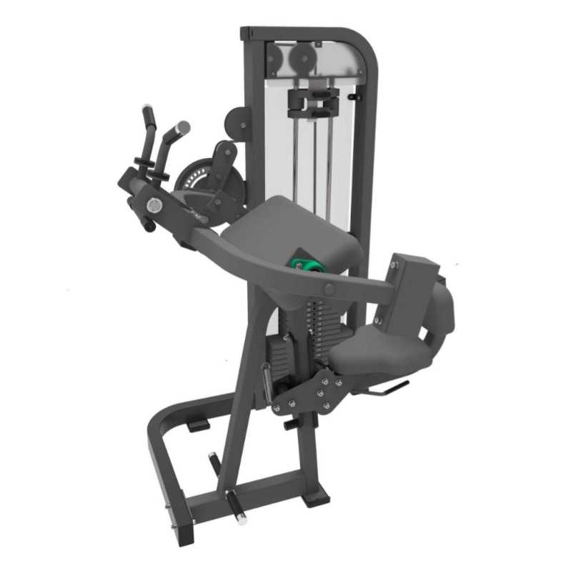 Biceps ve triceps