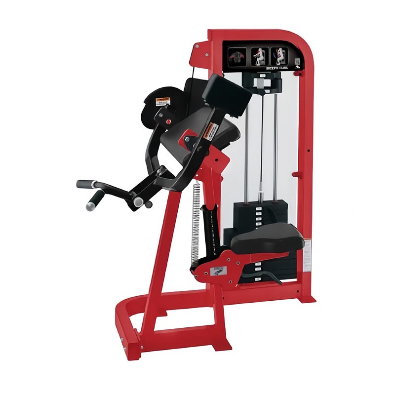 Biceps Curl Makinasını Seçin